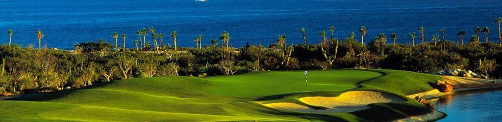 Cabo del Sol Golf Club and Resort cover image
