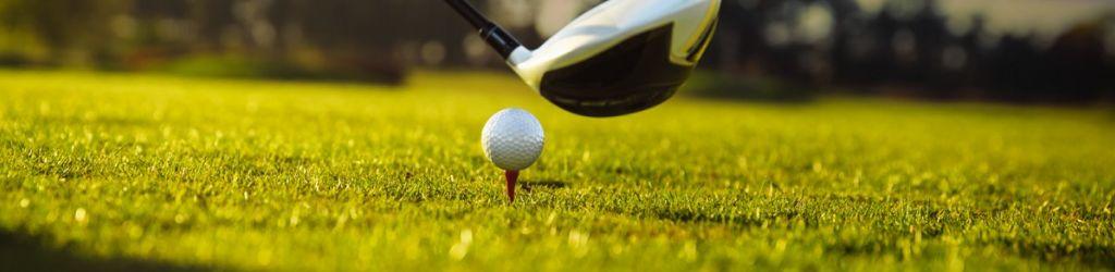 Club De Golf Las Brisas De Santo Domingo - Sur cover image