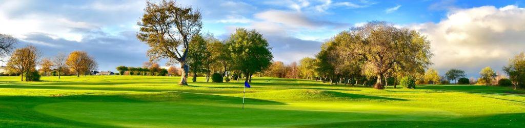 Craigentinny Golf Club cover image