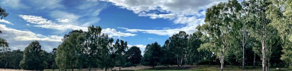 Enville Golf Club - Highgate cover image