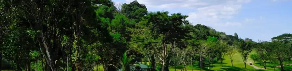 Forest Hills Golf and Country Club (Palmer Course) cover image