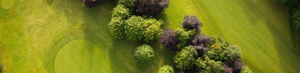 Fota Island Golf Club Cork - Deerpark Course cover image