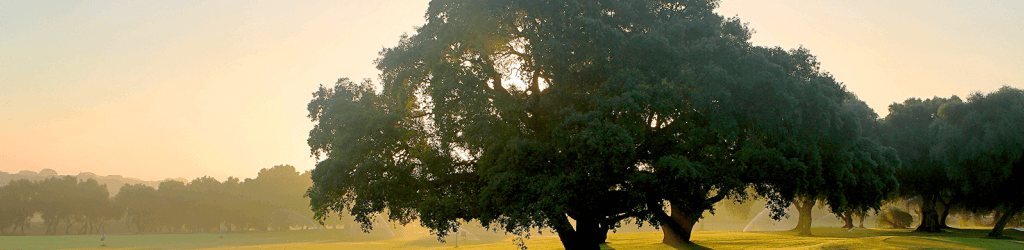 Dehesa Montenmedio - Golf & Country Club cover image