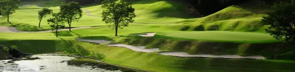 Narita Golf Club cover image