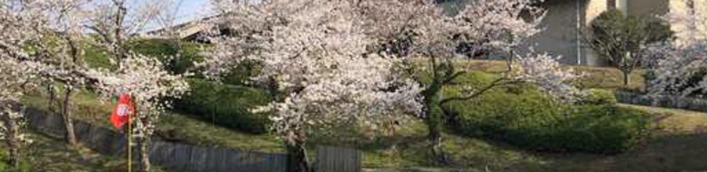 Osaka Golf Club - Tannowa Course cover image