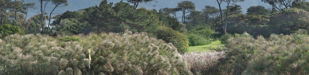 Royal Cape Golf Club cover image