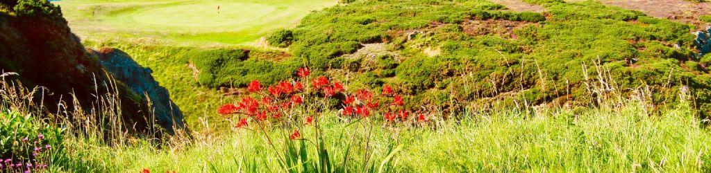 Royal Tarlair Golf Club cover image