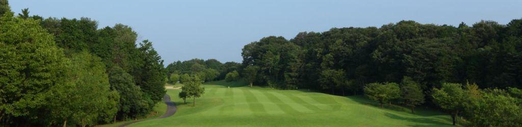 Shin Musashigaoka Golf Course cover image