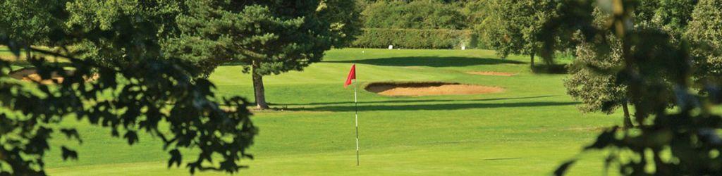 Stevenage Golf cover image