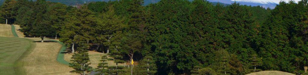 Tomei Country Club cover image