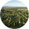 Image for Bay of Island Golf Club - Kerikeri course