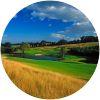 Image for Druids Glen Hotel & Golf Resort - Druids Heath course