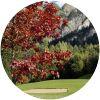 Image for Alpin Golf Brand course