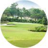 Image for Rayong Green Valley course