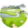 Image for Seapine Beach Golf & Resort course