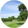 Image for Skyway Country Club course