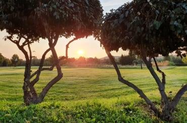 Golf course - Club de Golf Aranjuez