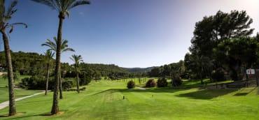 Golf course - Son Vida Golf